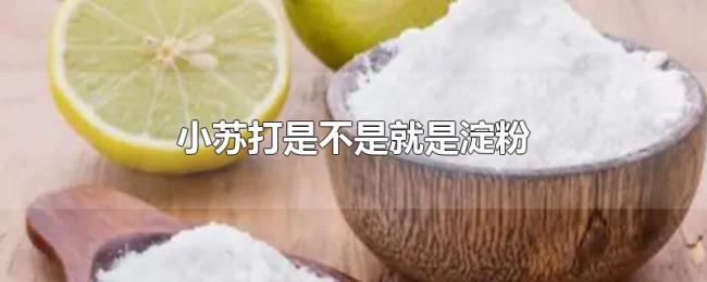 小苏打是不是就是淀粉 小苏打是不是就是淀粉