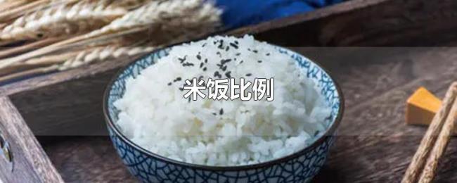 米饭比例