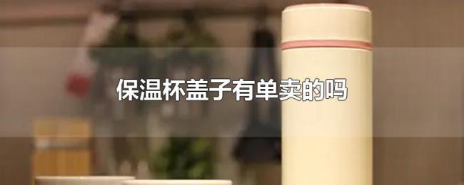 保温杯盖子有单卖的吗 保温杯盖子有单卖的吗