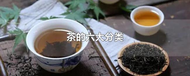茶的六大分类 茶的六大分类