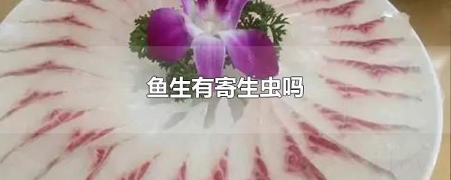 鱼生有寄生虫吗 鱼生有寄生虫吗