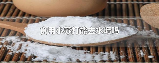 食用小苏打能去水垢吗