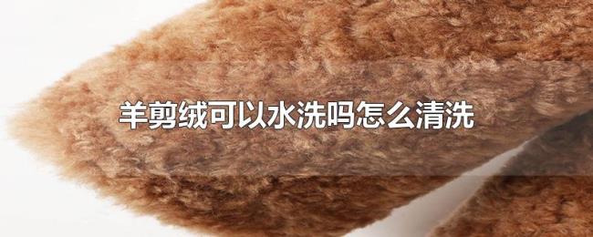 羊剪绒可以水洗吗怎么清洗 羊剪绒可以水洗吗怎么清洗