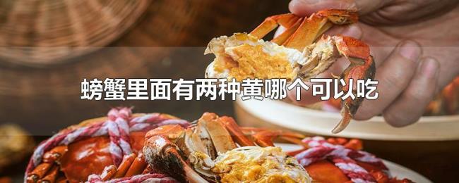 螃蟹里面有两种黄哪个可以吃
