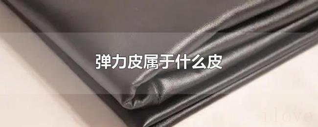 弹力皮属于什么皮 弹力皮属于什么皮