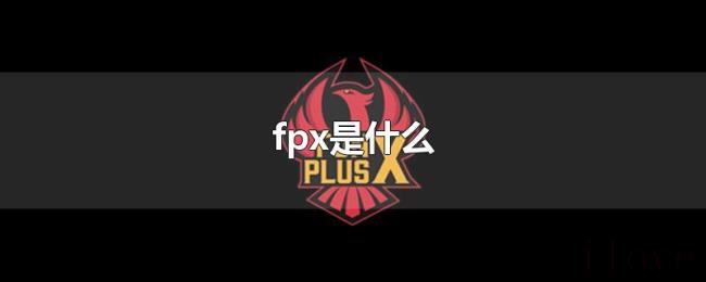 fpx是什么 fpx是什么