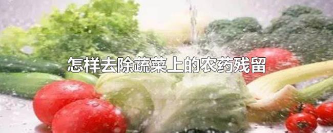 怎样去除蔬菜上的农药残留