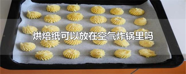 烘焙纸可以放在空气炸锅里吗 烘焙纸可以放在空气炸锅里吗