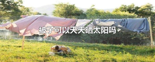 被子可以天天晒太阳吗 被子可以天天晒太阳吗