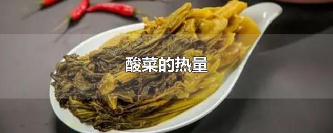 酸菜的热量 酸菜的热量
