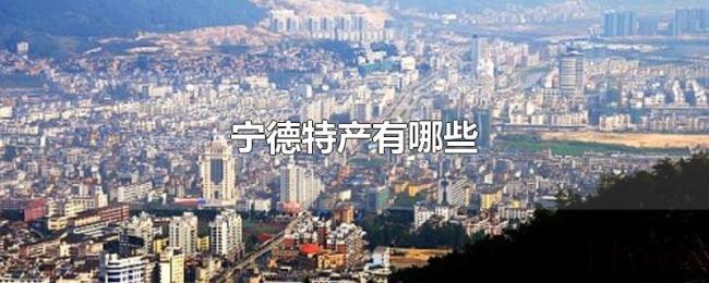 宁德特产有哪些