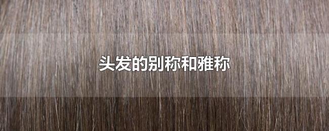 头发的别称和雅称 头发的别称和雅称