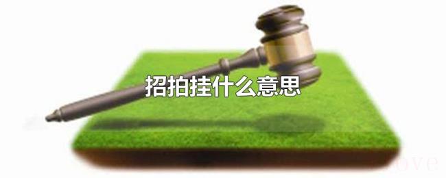 招拍挂什么意思 招拍挂什么意思