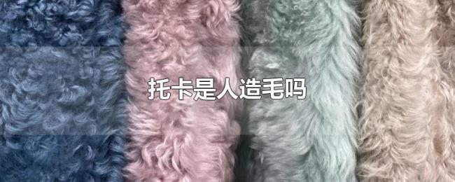 托卡是人造毛吗 托卡是人造毛吗