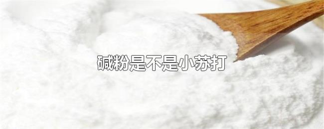 碱粉是不是小苏打 碱粉是不是小苏打