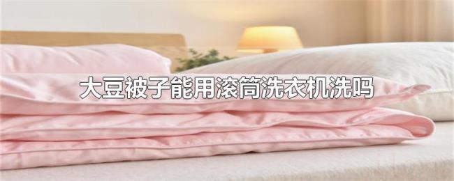 大豆被子能用滚筒洗衣机洗吗 大豆被子能用滚筒洗衣机洗吗