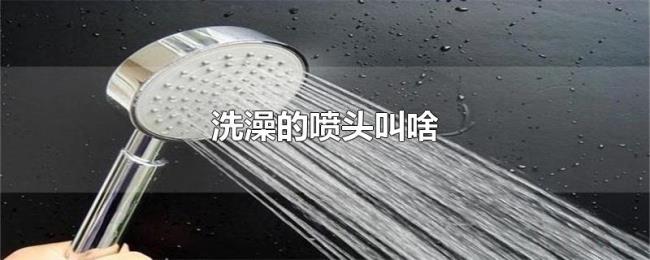 洗澡的喷头叫啥 洗澡的喷头叫啥