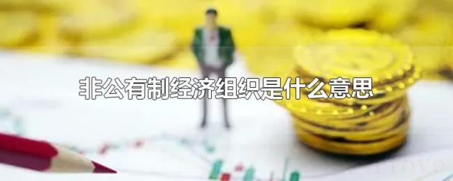 非公有制经济组织是什么意思 非公有制经济组织是什么意思