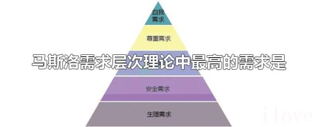马斯洛需求层次理论中最高的需求是