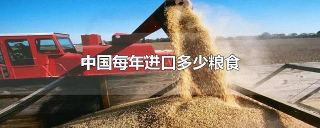 中国每年进口多少粮食 中国每年进口多少粮食