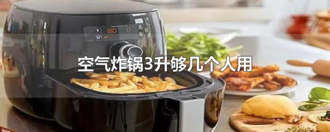 空气炸锅3升够几个人用 空气炸锅3升够几个人用