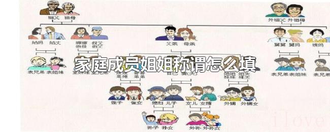 家庭成员姐姐称谓怎么填