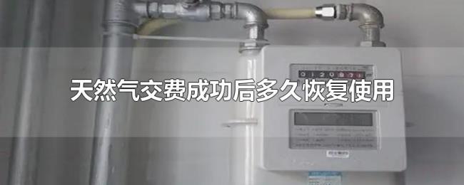 天然气交费成功后多久恢复使用 天然气交费成功后多久恢复使用