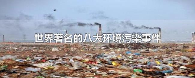 世界著名的八大环境污染事件