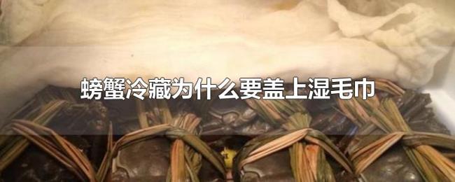 螃蟹冷藏为什么要盖上湿毛巾 螃蟹冷藏为什么要盖上湿毛巾