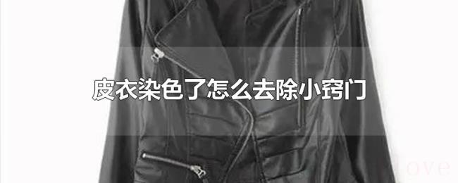 皮衣染色了怎么去除小窍门