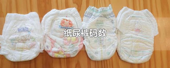 纸尿裤码数