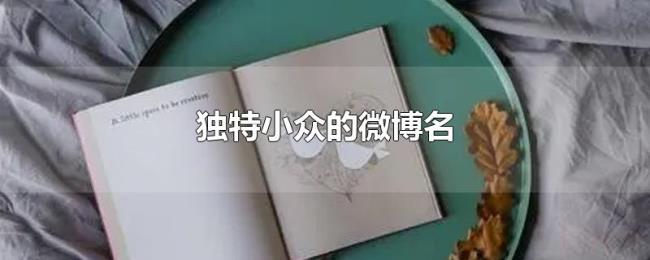 独特小众的微博名