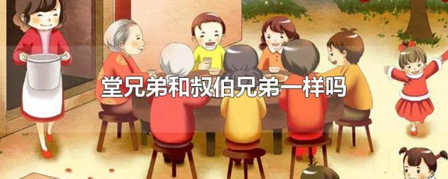 堂兄弟和叔伯兄弟一样吗