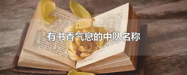 有书香气息的中队名称