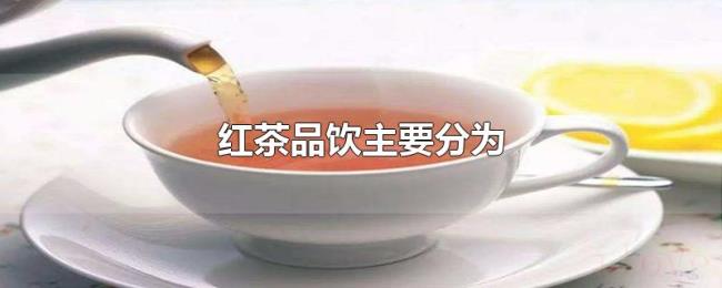 红茶品饮主要分为 红茶品饮主要分为