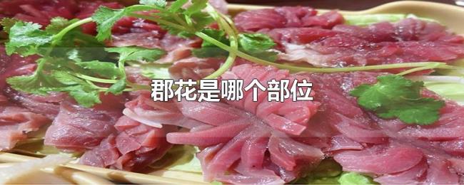 郡花是哪个部位 郡花是哪个部位