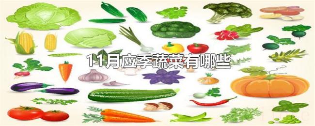 11月应季蔬菜有哪些