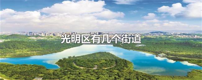 光明区有几个街道