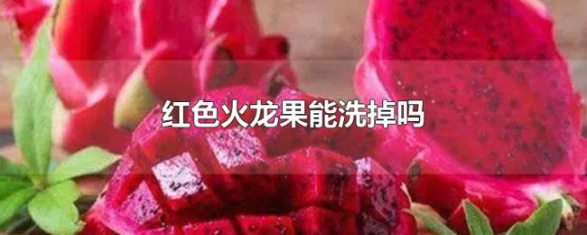 红色火龙果能洗掉吗 红色火龙果能洗掉吗