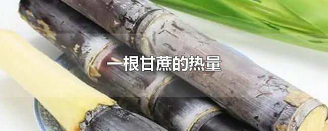 一根甘蔗的热量