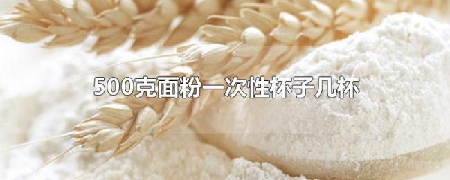 500克面粉一次性杯子几杯 500克面粉一次性杯子几杯
