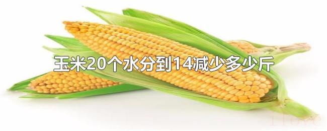 玉米20个水分到14减少多少斤