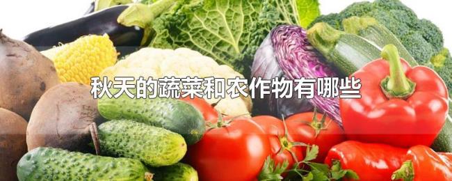 秋天的蔬菜和农作物有哪些