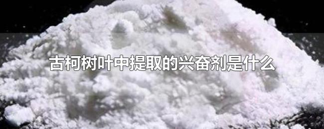 古柯树叶中提取的兴奋剂是什么