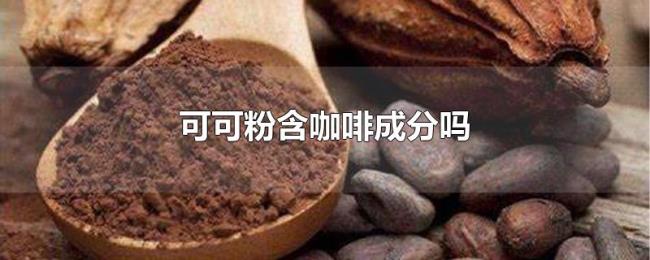 可可粉含咖啡成分吗 可可粉含咖啡成分吗