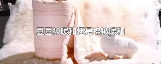 豆豆被暖和还是棉被暖和