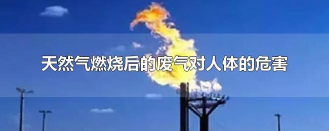 天然气燃烧后的废气对人体的危害 天然气燃烧后的废气对人体的危害