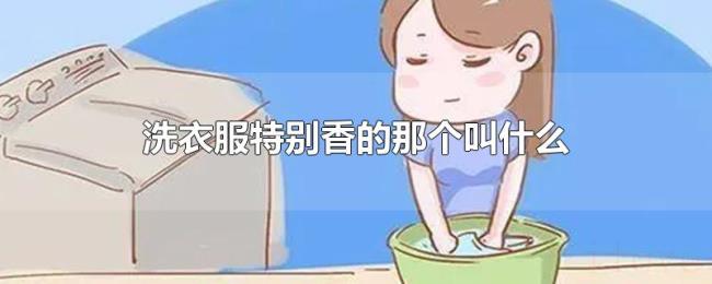 洗衣服特别香的那个叫什么
