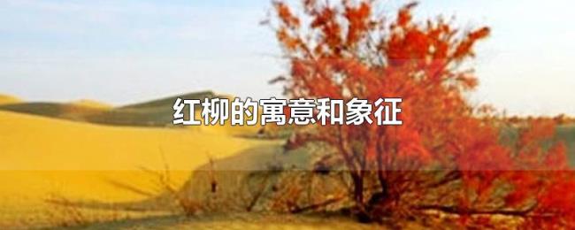 红柳的寓意和象征 红柳的寓意和象征