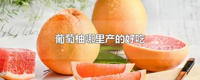 葡萄柚哪里产的好吃